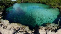 Megadiversidad de México en el Día Mundial del Medio Ambiente: EPN