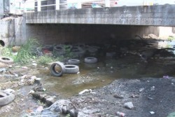 Gran cantidad de llantas tiradas en arroyo por la Maquio