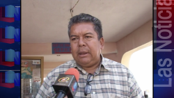 Regular la solicitud de paseos por catamarán en jornada electoral