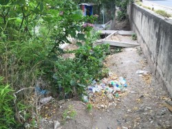 Temen inundarse por malas condiciones del canal en la 5 de mayo