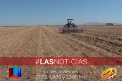 Labranza de Conservación, buena práctica