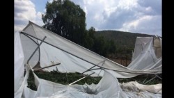 Torbellino causa afectaciones en SLP