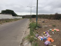 Calle Velasco en Colinas del Bosque convertida en Basurero