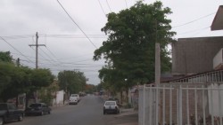 Vecinos de la colonia Rosales solicitan a CFE recorte arboles que afectan los cables