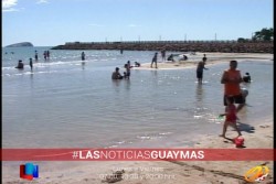 En condiciones óptimas playas de Guaymas y San Carlos: Titular de Ecología