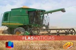 Concluyó cosecha triguera en el Valle del Yaqui
