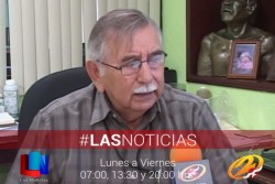 Sin problemas fitosanitarios en trigo