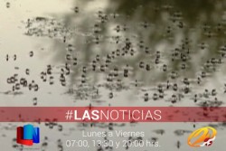 Menos dengue en Sonora