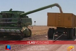 Llaman a registrarse al Diesel  Agrícola