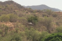 Más de 400 alumnos sin clases en sierra de Badiraguato.