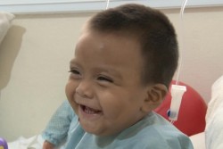Es dado de alta Mateo el niño picado por Araña violinista en Mazatlán.