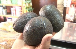 Se eleva el precio del kilo del aguacate.
