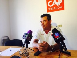 Piden a CESAVESIN aplicar estrategias contra el pulgón amarillo en temporal