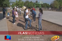 Canal Dos realiza campaña de reforestación