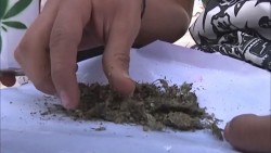 Se debe tratar a los adictos a las drogas con nuevo enfoque
