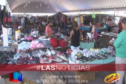 Deleita con su canto en el Tianguis del Ferrocarril
