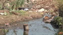 Con más basura luce el arroyo en el Nuevo Culiacán