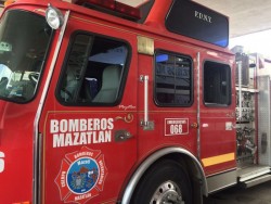 Abejas dan mucho trabajo a los bomberos.
