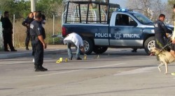 Mazatlán no se saldrá de control: Vargas Landeros.