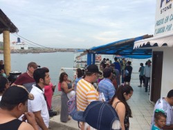 Paseos por la bahía registran alta demanda.