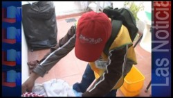 Esperan que con las lluvias se reproduzca mas el mosco transmisor del Dengue