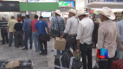 Yaquis de la Loma de Bácum llevan la Danza del Venado a Brasil