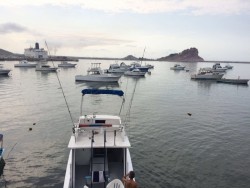 Capitanía de puerto monitorea el trayecto de "Newton"