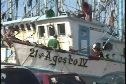 Urgen refugios pesqueros: Canainpesca.