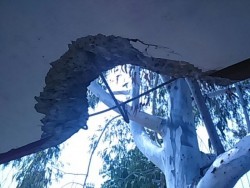 Rayo quema cableado y tira marquesina en escuela.