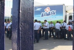Paran labores empleados de empresa lechera.
