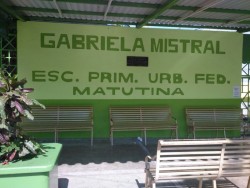 No encontraron víboras en la primaria Gabriela Mistral.