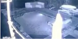 #Video abandona a su novia en una piscina por escapar de cocodrilo