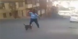#Video Un hombre se defiende de un pitbull con un machete