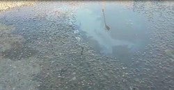 Presión de agua del canal crea grieta en calle