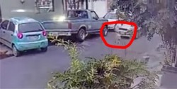 #Video Captan a automovilista que atropella intencionalmente a un perro