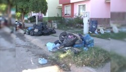 Se acumula basura en San Fernando.