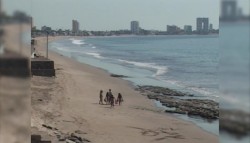 Aumentan lesionados por mantarrayas.