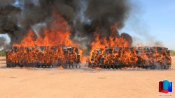 Incinera PGR en Sonora, 19 toneladas y media de narcóticos