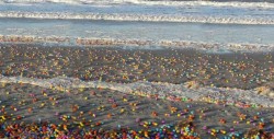 ¡Vaya sorpresa! una playa alemana queda plagada de huevos kinder