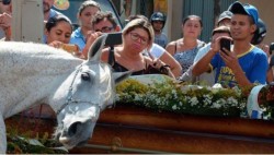 #Video Así le lloró un caballo a su jinete en pleno funeral
