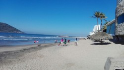 Voluntarios limpian la playa.