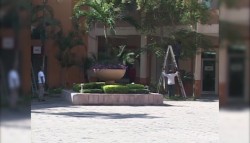 Ordenan y limpian el Palacio Municipal.