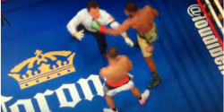 VIDEO: Réferi se lleva la peor parte al separar a los boxeadores