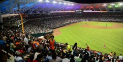 Implementará la SSA operativo en la Serie del Caribe