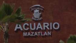 Aún no se inicia el peritaje del Tiburonario