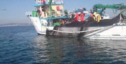 Embarcaciones buscan otras alternativas de pesca