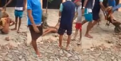 #Video Masacran a travesti en Brasil