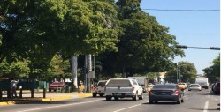 No están funcionando semáforos por Insurgentes