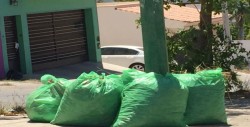 Continúa el problema de recolección de basura