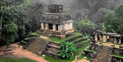 Asaltan a 25 turistas alemanes en Chiapas